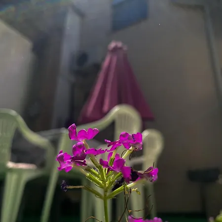 Apartment Secret Garden *