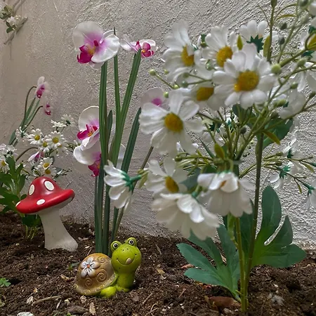 Secret Garden Apartment Mostar